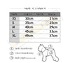 Chewnel Parfume Teeskirt - PStreetwear