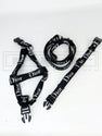 Dioorggy Harness, Collar and Leash Set (avail in 2 colours)