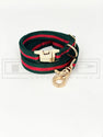 Pucci Classic Collar and Leash (free engraving) - PStreetwear