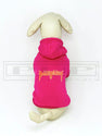 Pawlenciaga Metal Hoodie (avail in other colours)