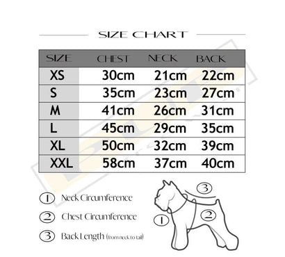 Champie Hoodie - PStreetwear