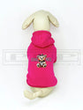 Chewnel Bear Hoodie (avail in other colours)