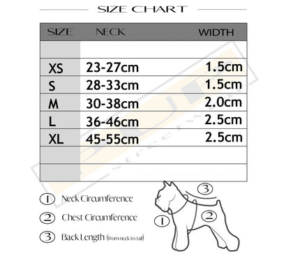 Dioorggy Buckle Collar and Leash - PStreetwear