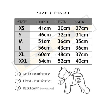 Dioorggy Oblique Dress - PStreetwear