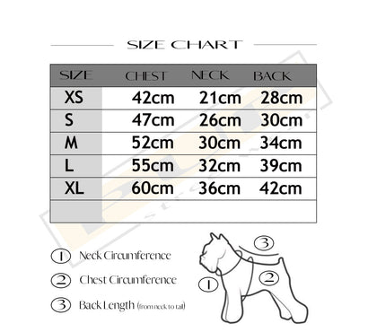 Dioorggy Windbreaker - PStreetwear