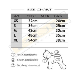 Furberry Dress - PStreetwear