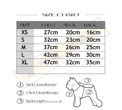 Chewnel Love Potion Dress - PStreetwear