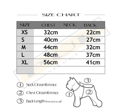 Pucci Bow Sweater - PStreetwear