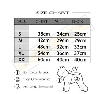 Dioorggy Coat - PStreetwear